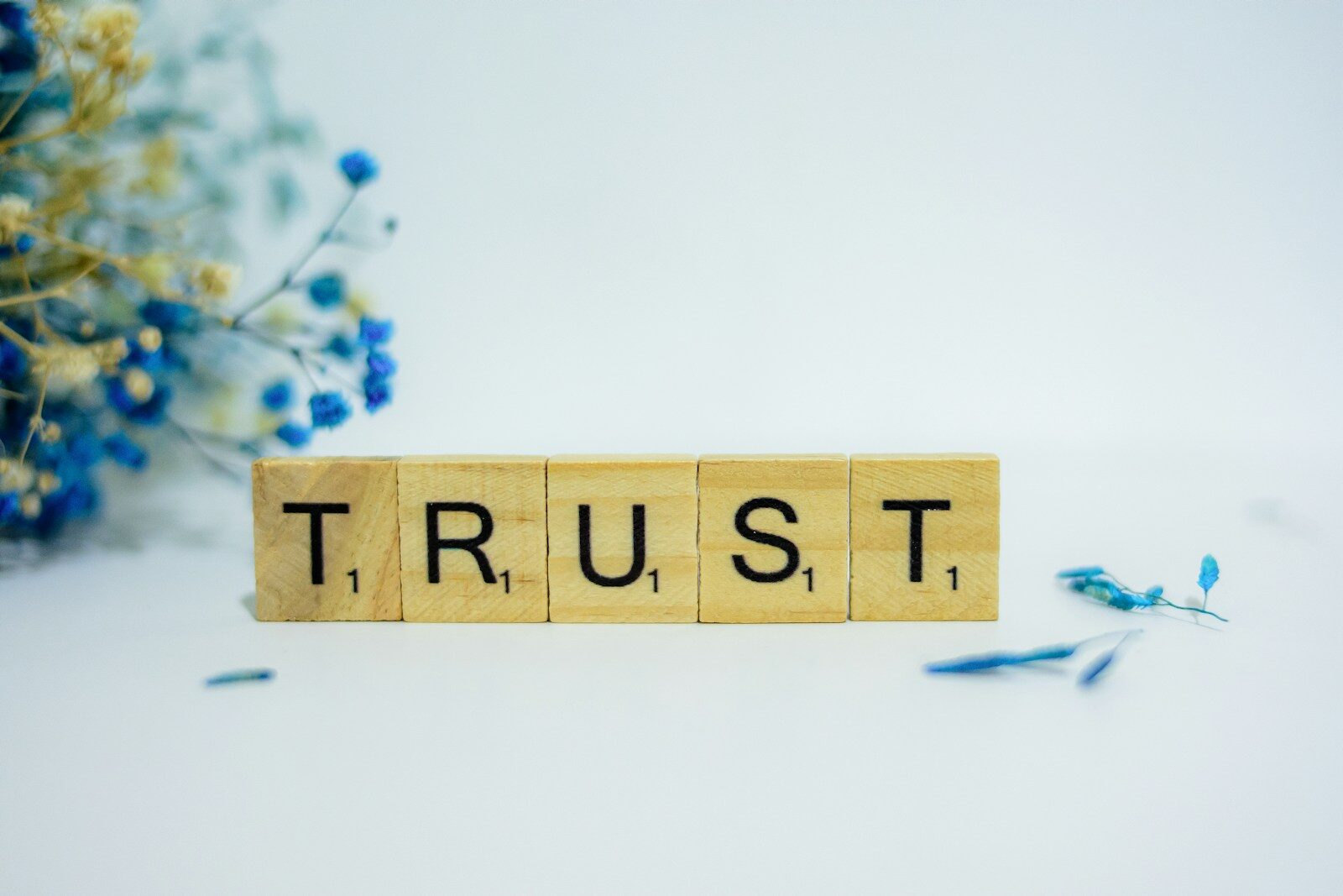 Trust Signal Website B2B